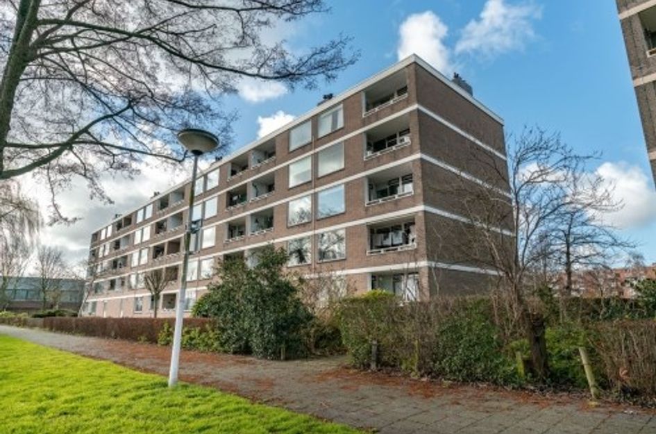 Paramaribostraat 