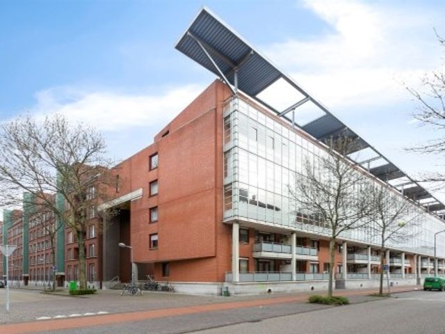 Sphinxlunet , Maastricht
