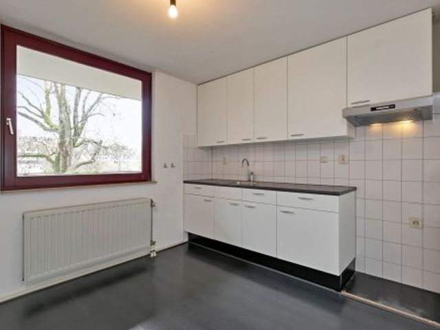 Sphinxlunet , Maastricht