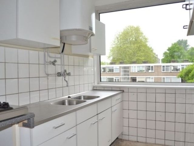 Philip Vingboonsstraat , Rotterdam