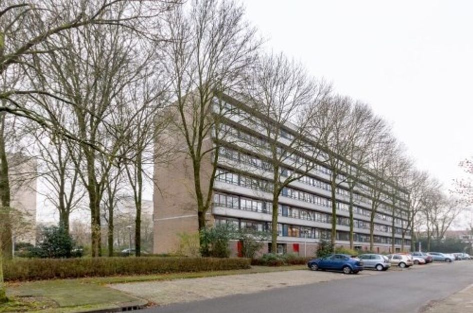 Hijmans van Den Berghlaan 