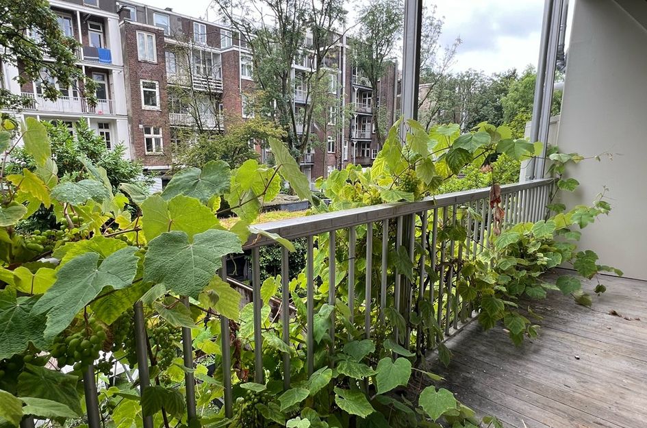 Eerste Helmersstraat 225 1