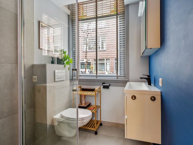 Groen van Prinstererstr 42B, Rotterdam