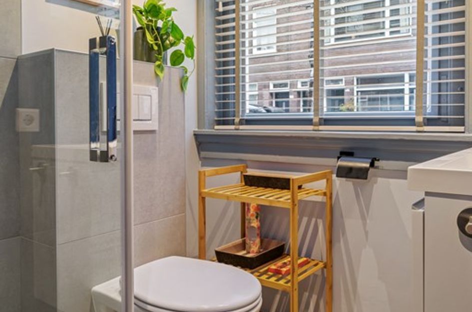 Groen van Prinstererstr 42B