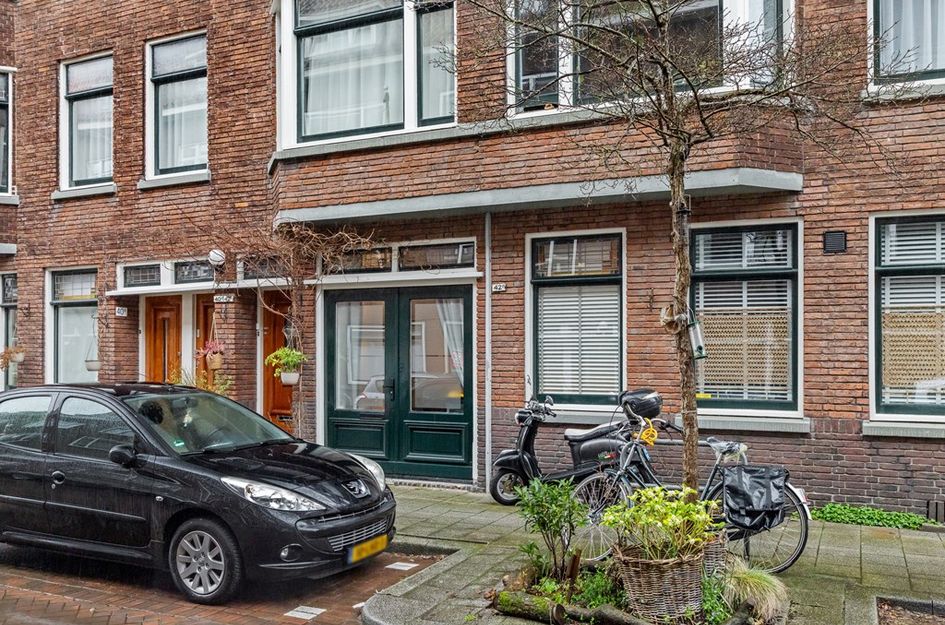 Groen van Prinstererstr 42B