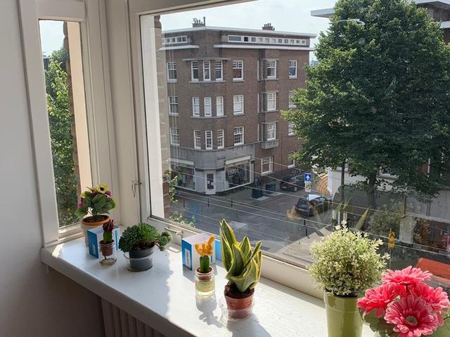 Vondelstraat 91, 's-Gravenhage