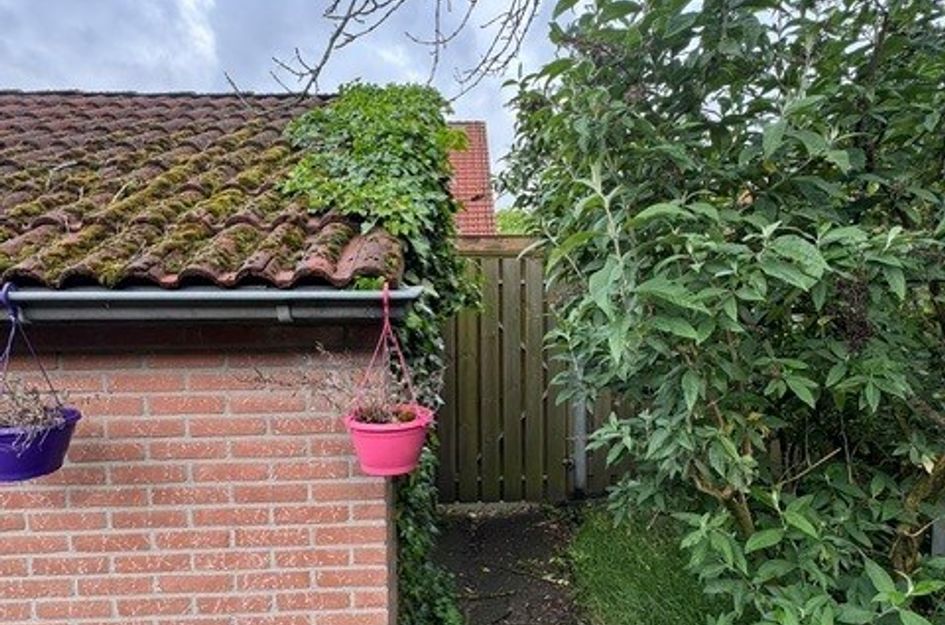 Coba Kellingstraat 11