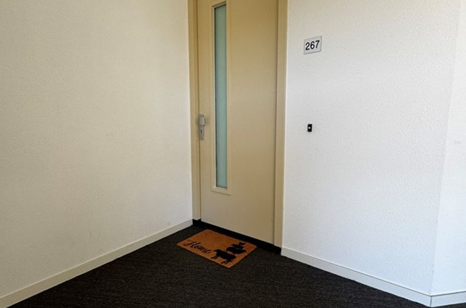 Piet Mondriaanlaan 267