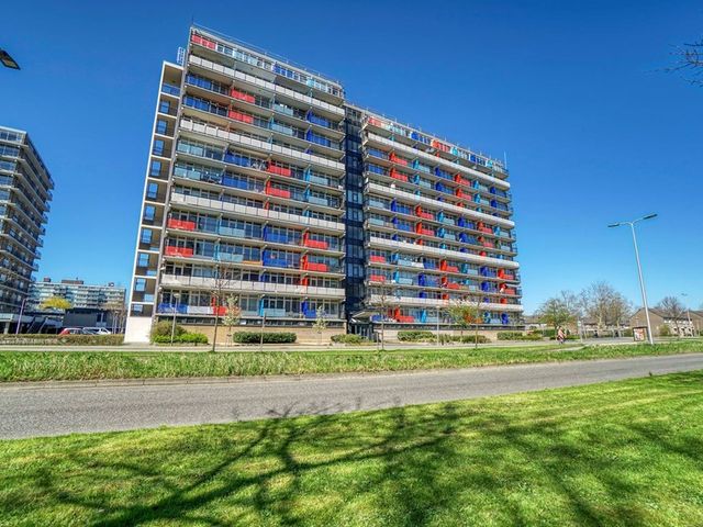 Aidaplein ONG, Alphen aan den Rijn