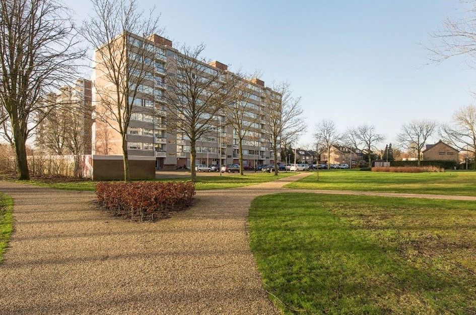 Verdiweg ONG