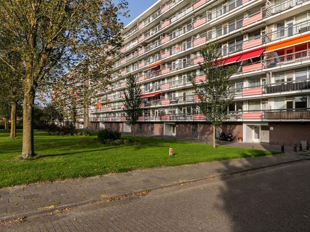 Trekvogelweg ONG, Amersfoort