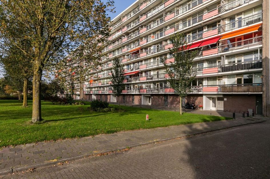 Trekvogelweg ONG