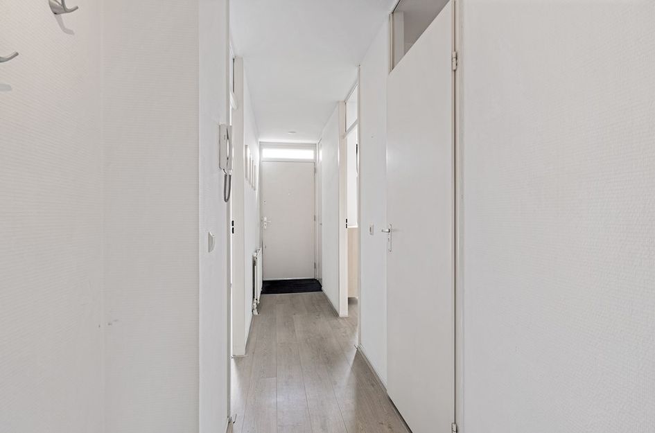 Torenstraat 169