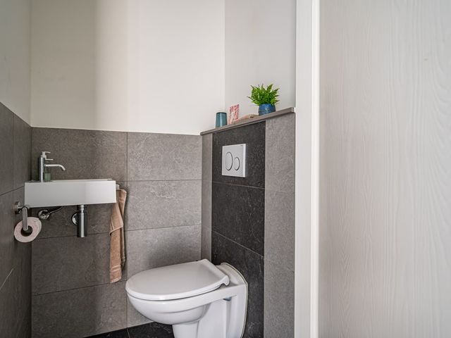 Visarend 4, Tollebeek
