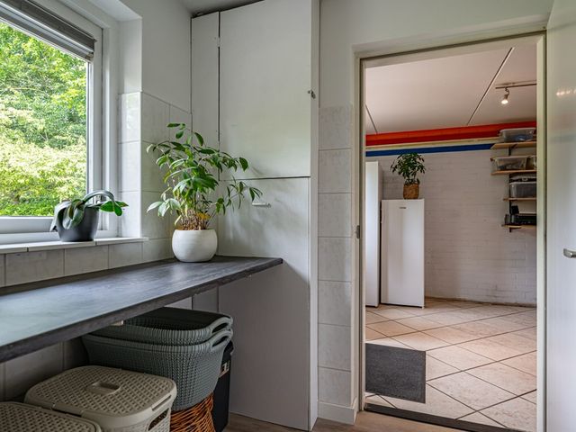 Visarend 4, Tollebeek