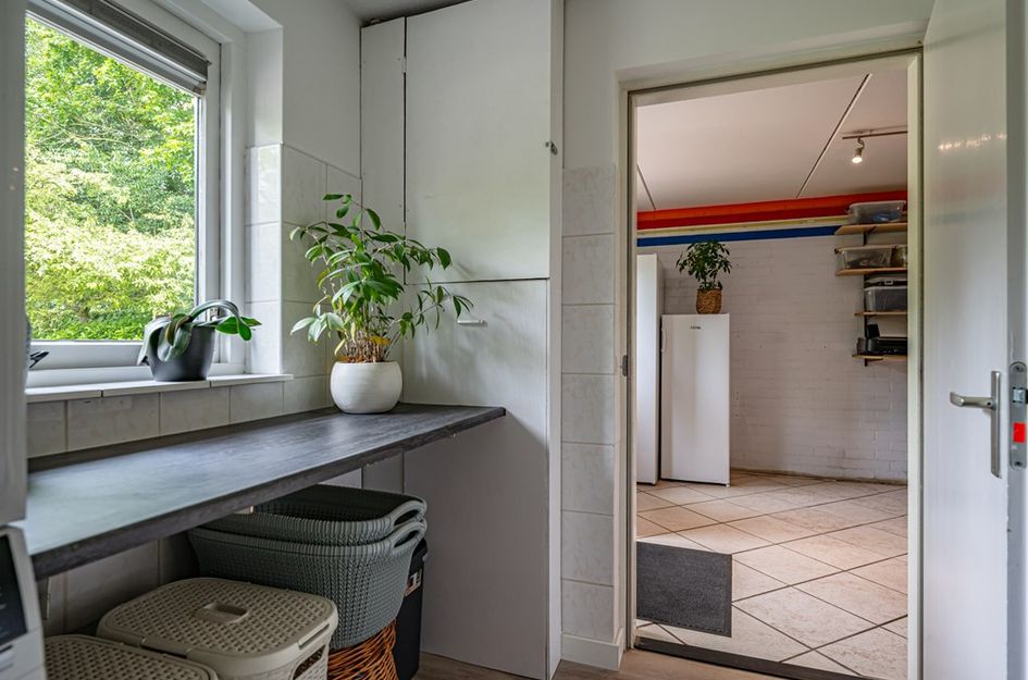 Visarend 4