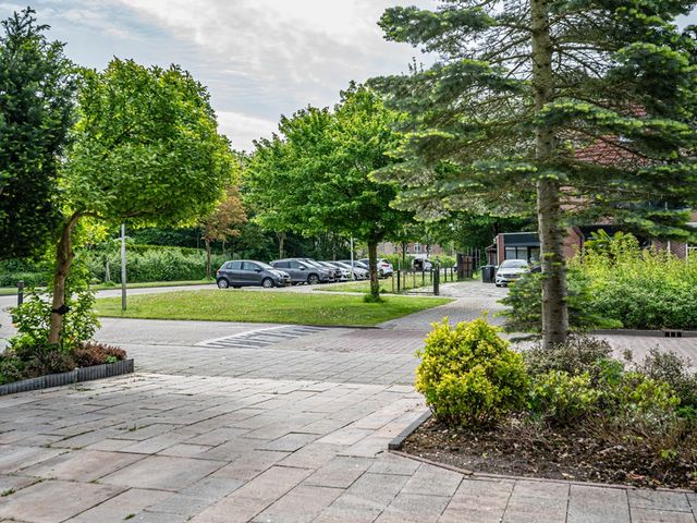 Visarend 4, Tollebeek