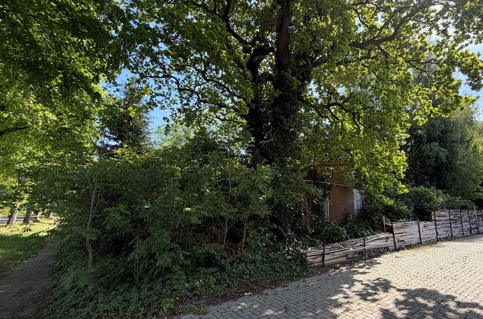 Noorderdiep 488