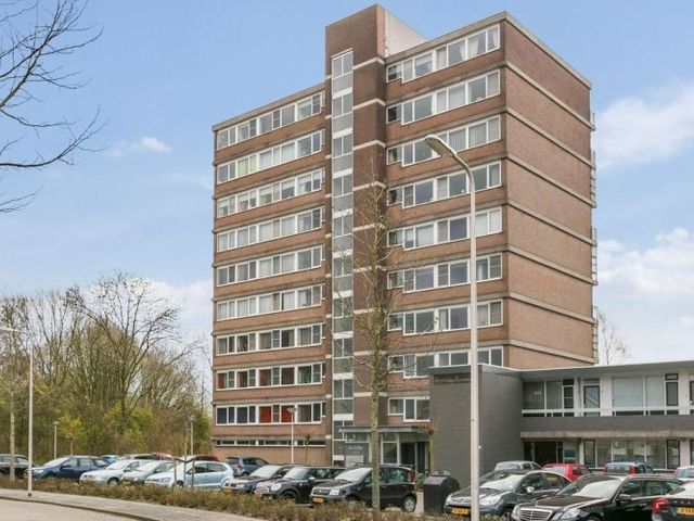 Saffierstraat , Alphen aan den Rijn
