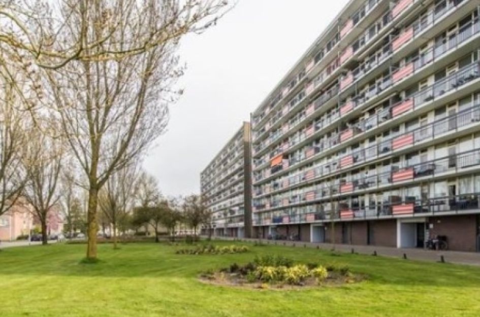 Trekvogelweg 