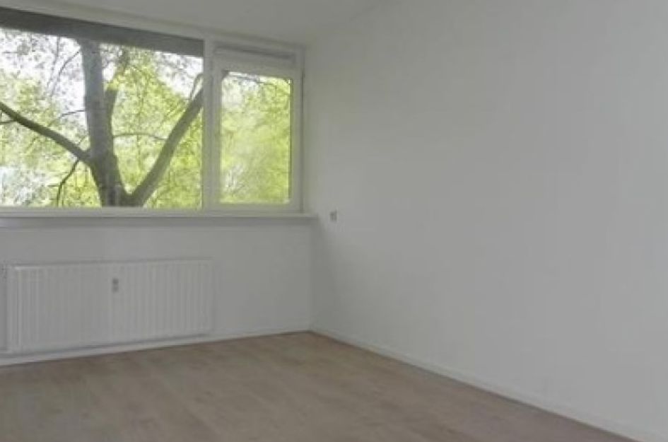 Trekvogelweg 