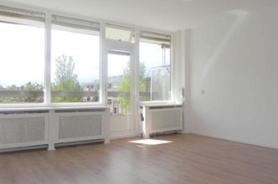 Trekvogelweg 