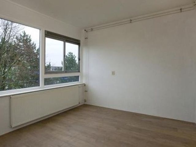 Ophemerthof , Amsterdam