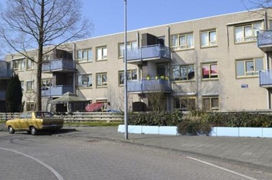 Wederikpad 