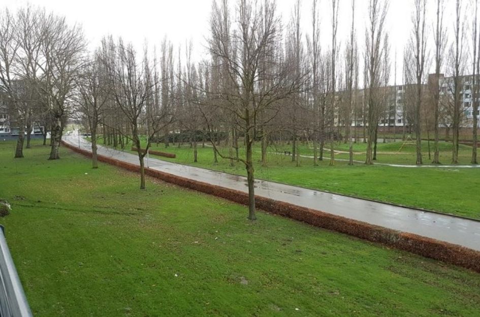Kasterleestraat 