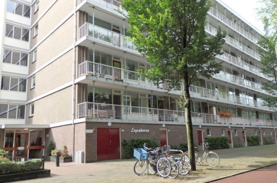 Volendamlaan 