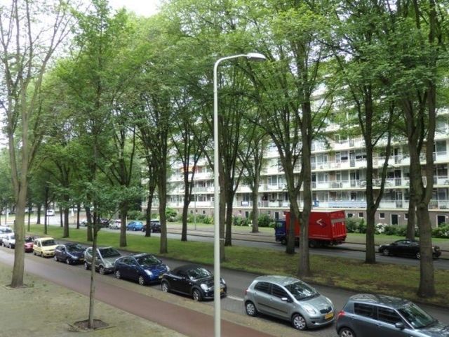 Volendamlaan , 's-Gravenhage