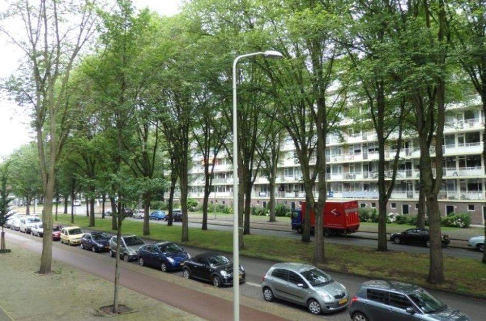Volendamlaan 