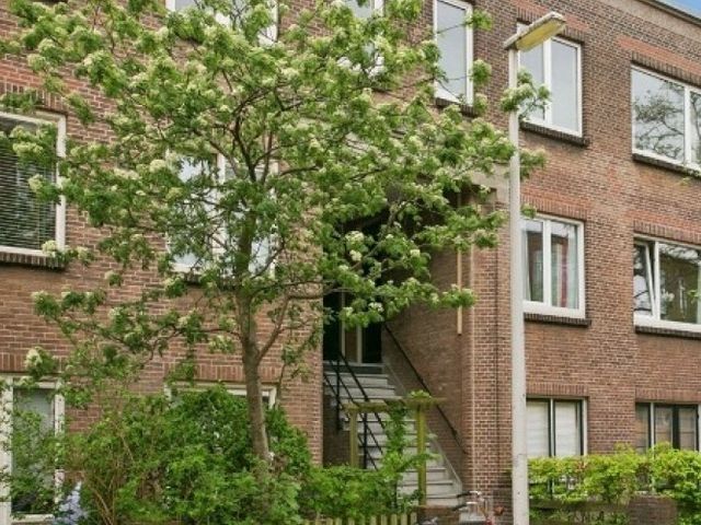 Anjelierstraat , 's-Gravenhage