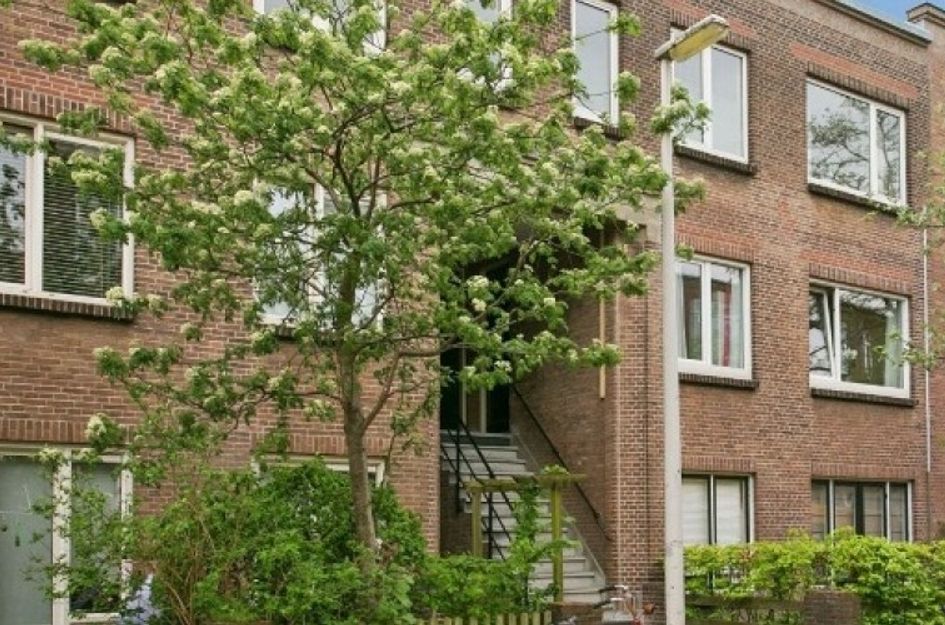 Anjelierstraat 