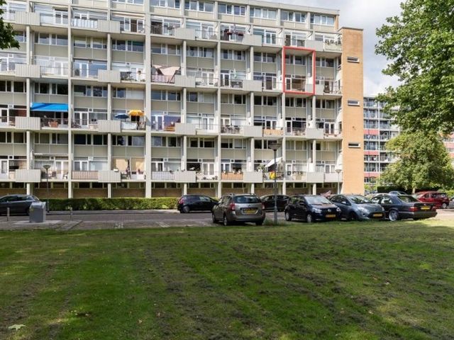 Van Bosseplantsoen , Dordrecht