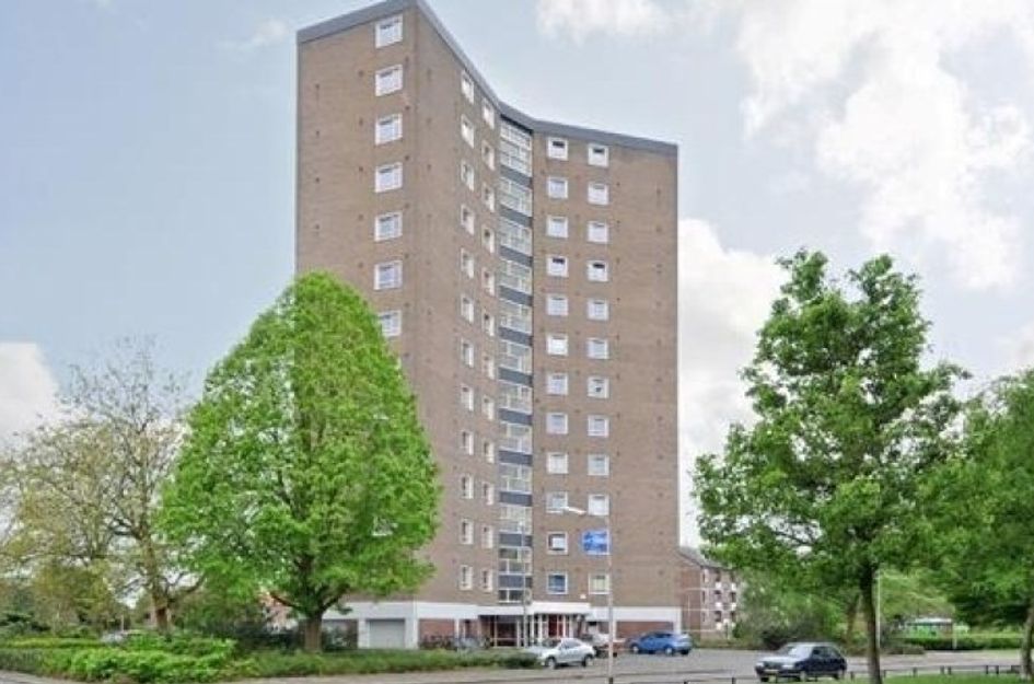 Heidebloemstraat 