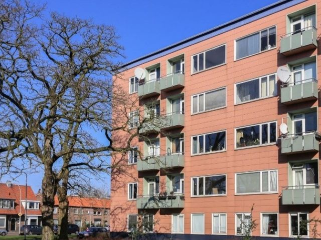 Ligusterstraat , Nijmegen
