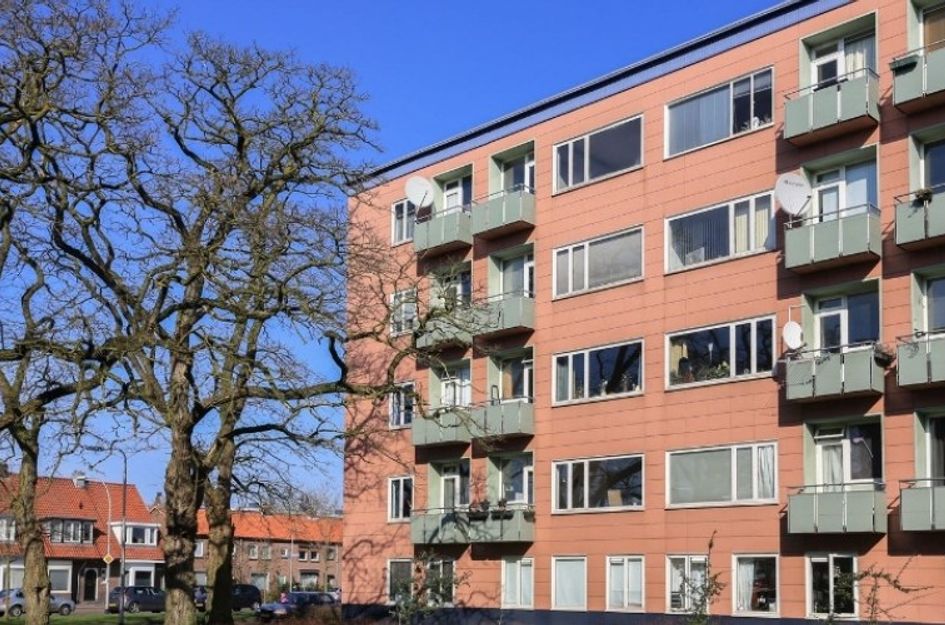 Ligusterstraat 
