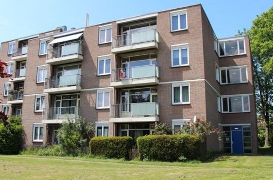 Cuyleborg 