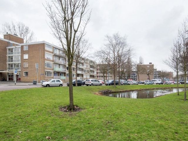 Heymansstraat , Rotterdam