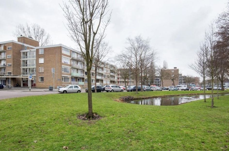 Heymansstraat 