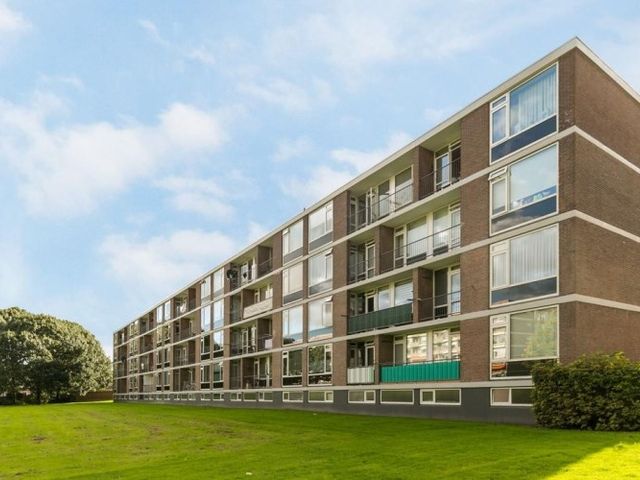 Quadenoord , Rotterdam