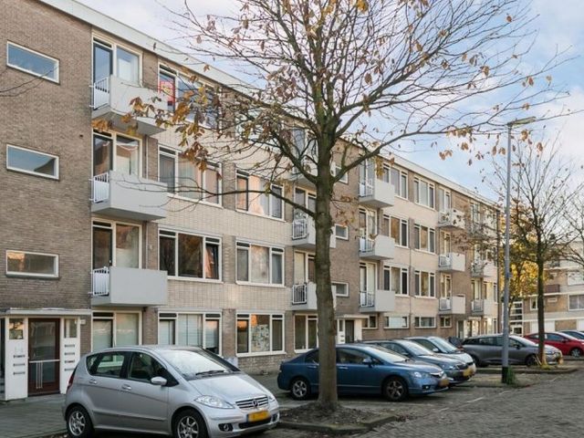 Stalpaertstraat , Rotterdam