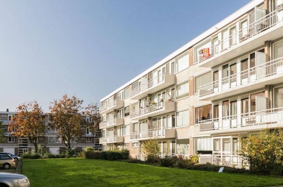 Stalpaertstraat 