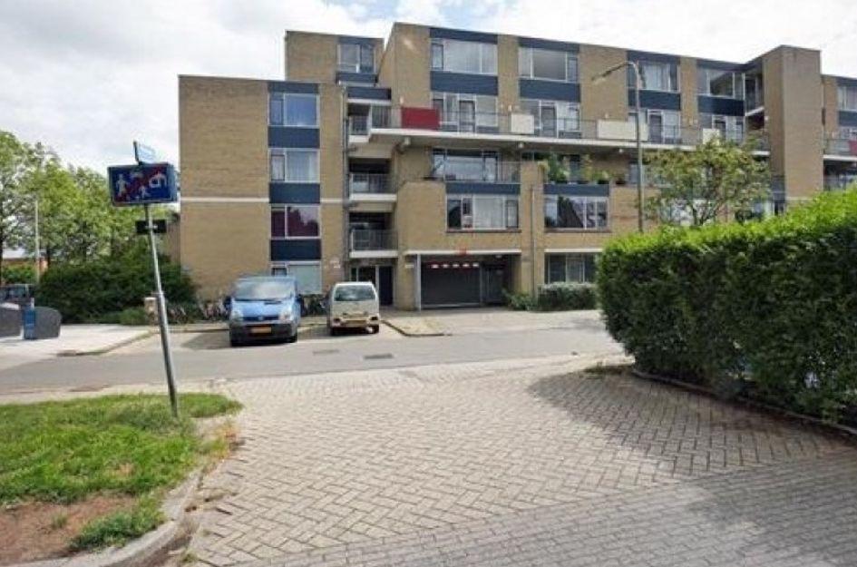 Texel 