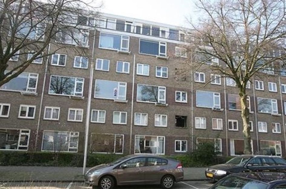 Barnsteenlaan 