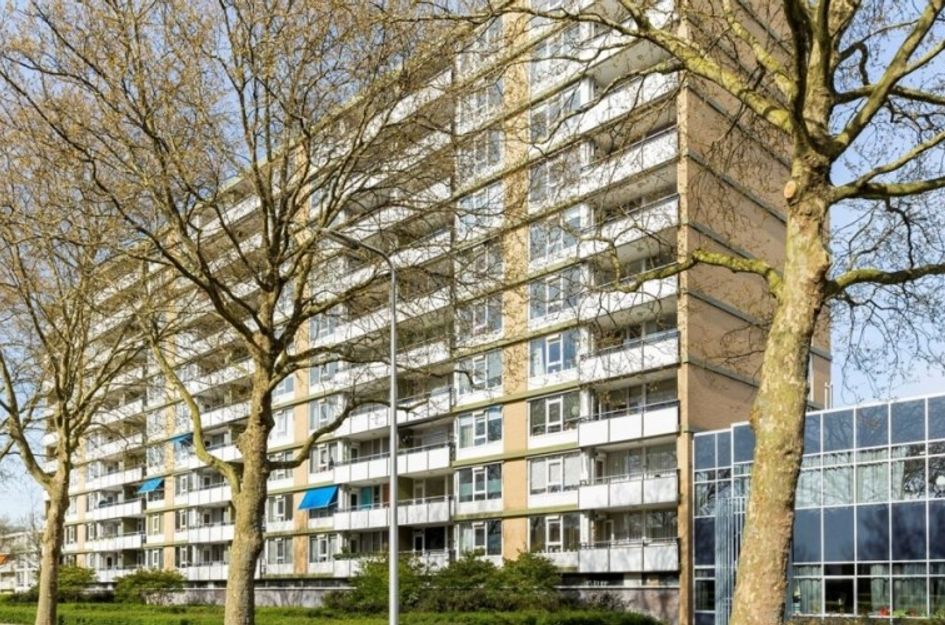 Van Vollenhovenlaan 