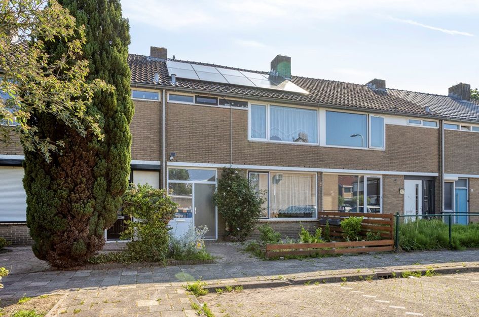 Gerard ter Borchstraat 44