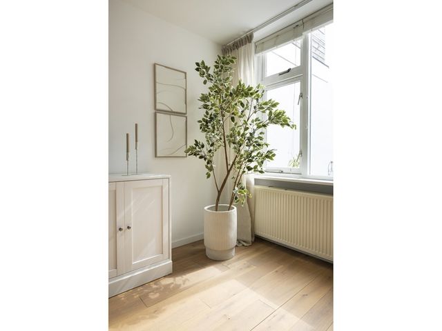 Scheepersstraat 14, Haarlem
