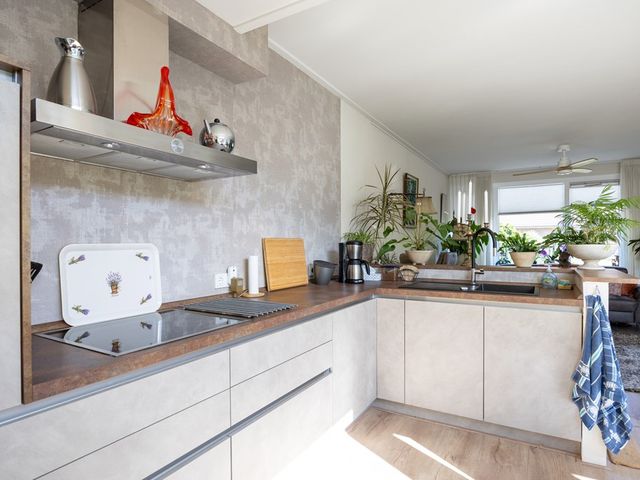 't Veer 14, Leek